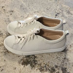 Dolce Vita Sneakers